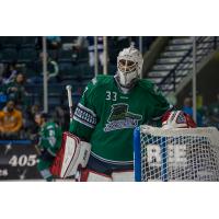 Goaltender Daniel Altshuller Returns to Everblades
