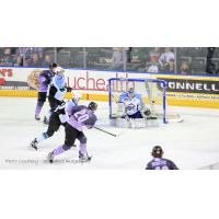 Eagles Win Fourth Straight with 5-2 Victory over Alaska
