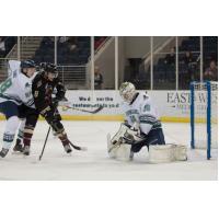 Peters Stellar as 'Blades Conquer Gladiators 4-1
