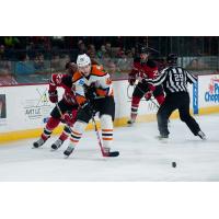 Phantoms Rally Late...Again