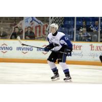 Sea Dogs Blank Screaming Eagles Forseventh Win In A Row