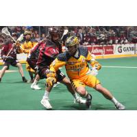 Georgia Swarm Handed First Loss of Season