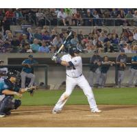 Somerset Patriots Re-Sign Catcher Yovan Gonzalez