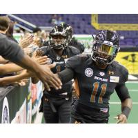 Rattlers Re-Sign DB Brown