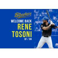 Rene Tosoni Signed for 2017