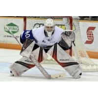 Booth Brilliant In Bathurst As Seadogs Pick Up Eighth Straight Win