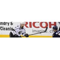 Yann Sauve Signs SPC and Rejoins Monarchs
