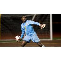 Rowdies Sign Jamaican Goalkeeper Nico Campbell