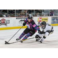 Nailers Shut Down Steelheads