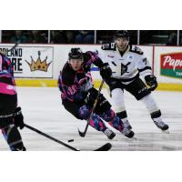 Lights Out, Looch - Luciani Hat Trick Powers Steelheads Past Wheeling
