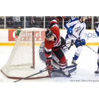 Flurry of Third Period Goals Puts Wolves Past 67's