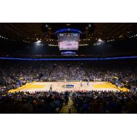 Warriors Fall to Blue in Record-Setting Game at Oracle Arena