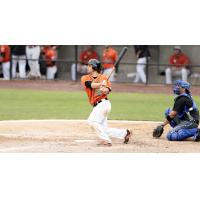 All-Time Ducks Great Back in Fold