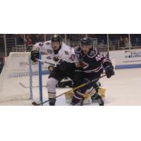 Stingrays Erase Early Deficit to Beat Gladiators 4-2