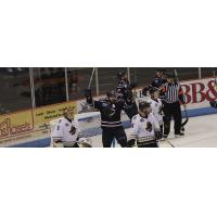 Rays Overcome Early Deficit to Defeat Glads 4-2