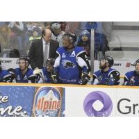 Flynn Joins Exclusive Club with 300th Coaching Win