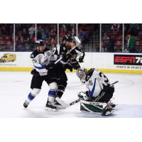 Salt Lake Sweep! Bow's First Career Shutout Downs Grizzlies