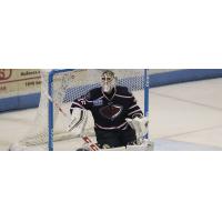 Cannata Recalled, Rejoins Hershey