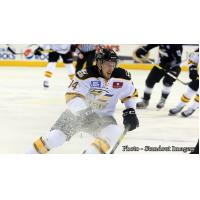 Colorado's Houck Named Sher-Wood Hockey ECHL Player of the Week