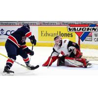 Warriors' Sawchenko Named Vaughn CHL Goaltender of the Week