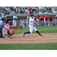 Somerset Patriots Re-Sign Infielder and Fan Favorite Scott Kelly