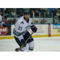 'Blades Sink Admirals with Five-Goal Third Period