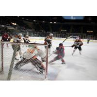 Phantoms Can't Find Comeback vs. Springfield this Time