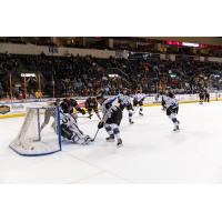 Tansey's Two Power Mavs Past Steelheads
