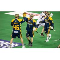 Georgia Swarm Midseason Recap - How Did the Swarm Get to 7-1