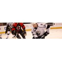 Quentin Shore Returns to Monarchs