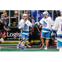 Knighthawks Rally to Ground Stealth