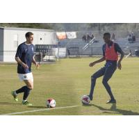 2017 Armada FC Captains Named