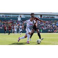 Jonny Mendoza Signs with Harrisburg City Islanders