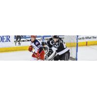 Monarchs Tamed by Jackals, 2-1