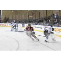 Steelheads Shutdown the Rush - Landon Bow Earns 27-Save Shutout