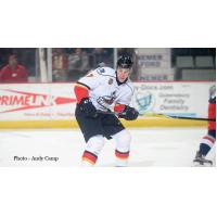 Adirondack's Falkovsky Named CCM ECHL Rookie of the Month