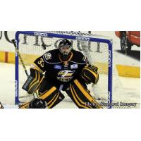 Colorado's Saunders Named Warrior Hockey ECHL Goaltender of the Month