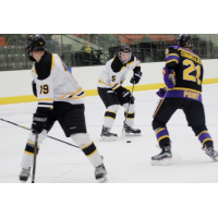 Mayhem Add Two Defensemen Before Weekend Series