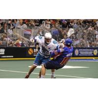 Knighthawks Activate Scott Campbell