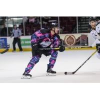 STEELHEADS: Harstad Returns to Steelheads