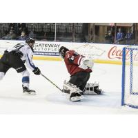 STEELHEADS: Faust Ties Record in Steelheads Win