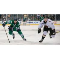 GAME RECAP: Everblades Shutout Atlanta 4-0
