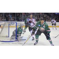 Game Recap --- Eagles Raise $53,233 for Chelbi Holt, But Fall to Stingrays 4-1