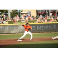 Dragons 2017 Team Preview, Part 3: Second Basemen