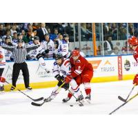 Allen Americans Weekly Update