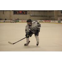 Affiliate Joey Cipollone Expected to Make USHL Debut