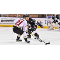 New Hampshire Native Alex Gacek Leads Atlanta to 5-1 Win over Monarchs