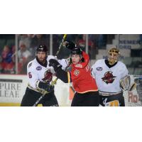 Adirondack Defeats Atlanta 6-1 in Gladiators' First Ever Game in Glens Falls