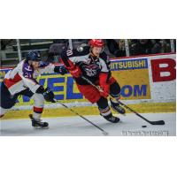 Elmira's Miller Named Sher-Wood Hockey=2FECHL Player of the Week