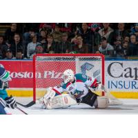 Former Rockets Goaltender Jordon Cooke Is Making the Most of His WHL Scholarship